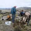 img-20181116-wa0007  cleaning outcrops in the same area as historical sample esc-26. soil will significantly block total count radioactivity readings on the scintillometer. - copy